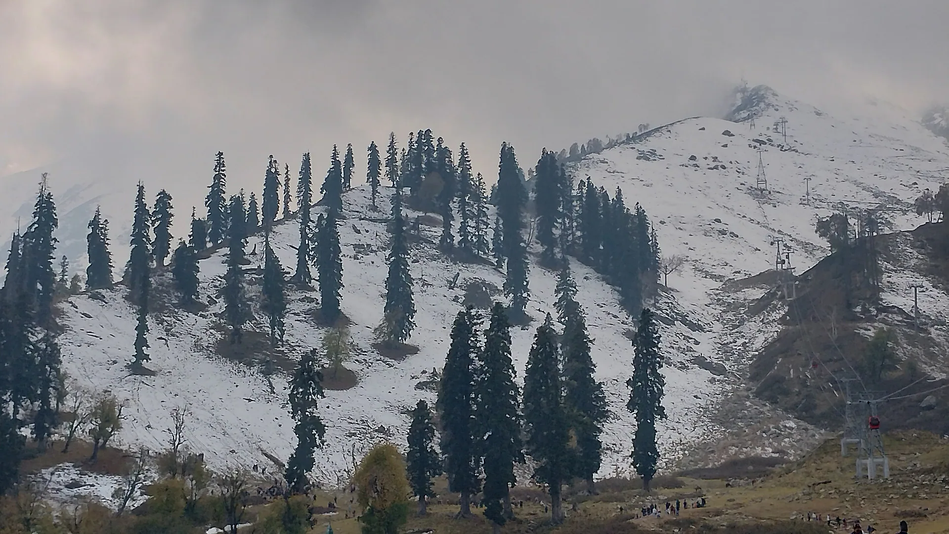 Pine-dotted snowy slopes of Gulmarg