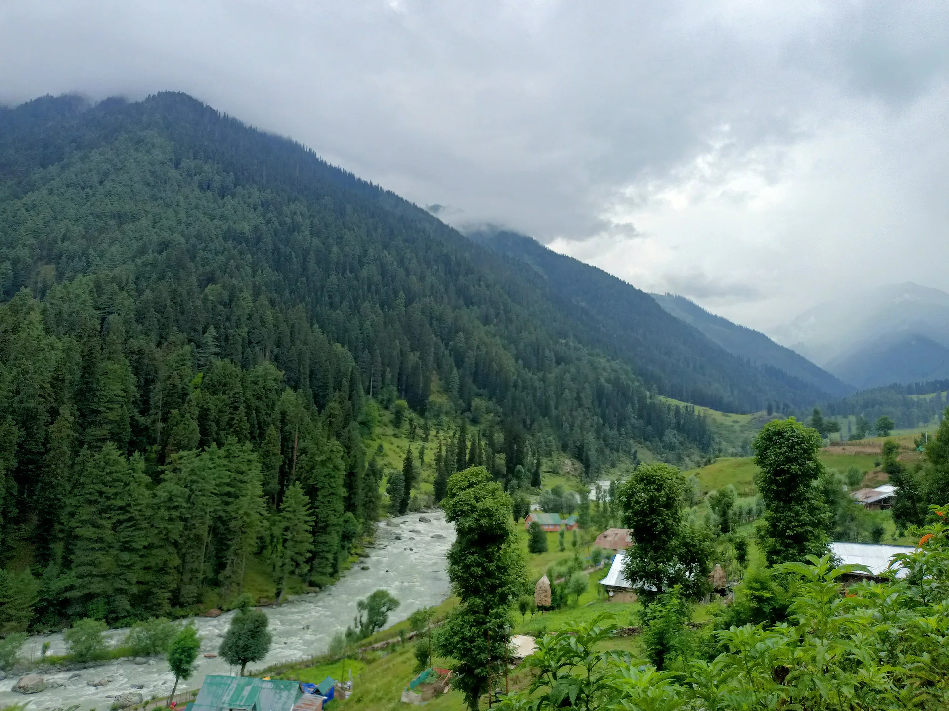 Aru Valley with pine forest and a mountain stream
