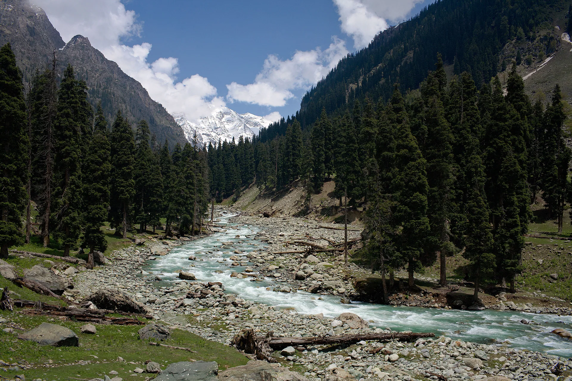 The glacier-fed Lidder River flowing through pine forest