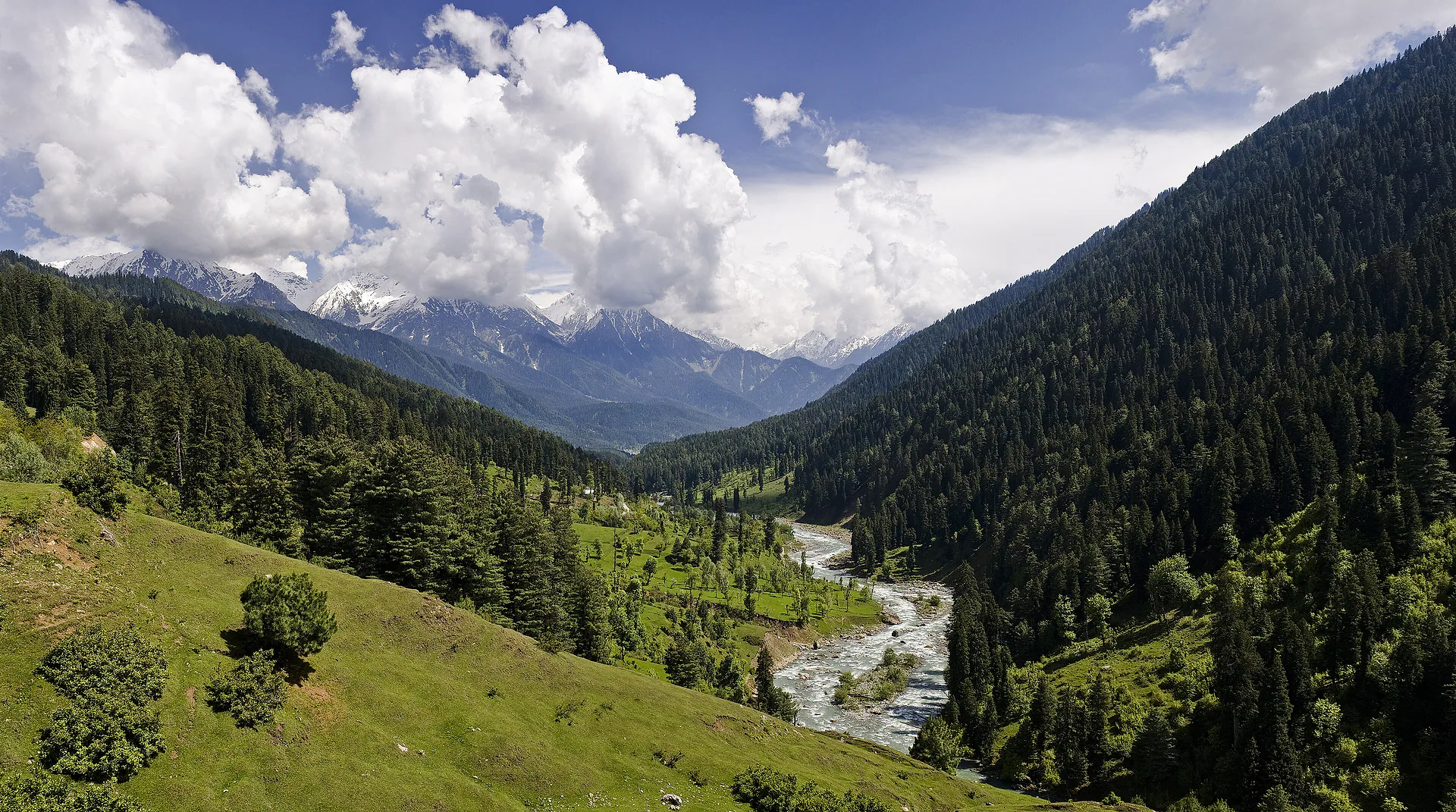 Pahalgam valley with pine forest and the Lidder River