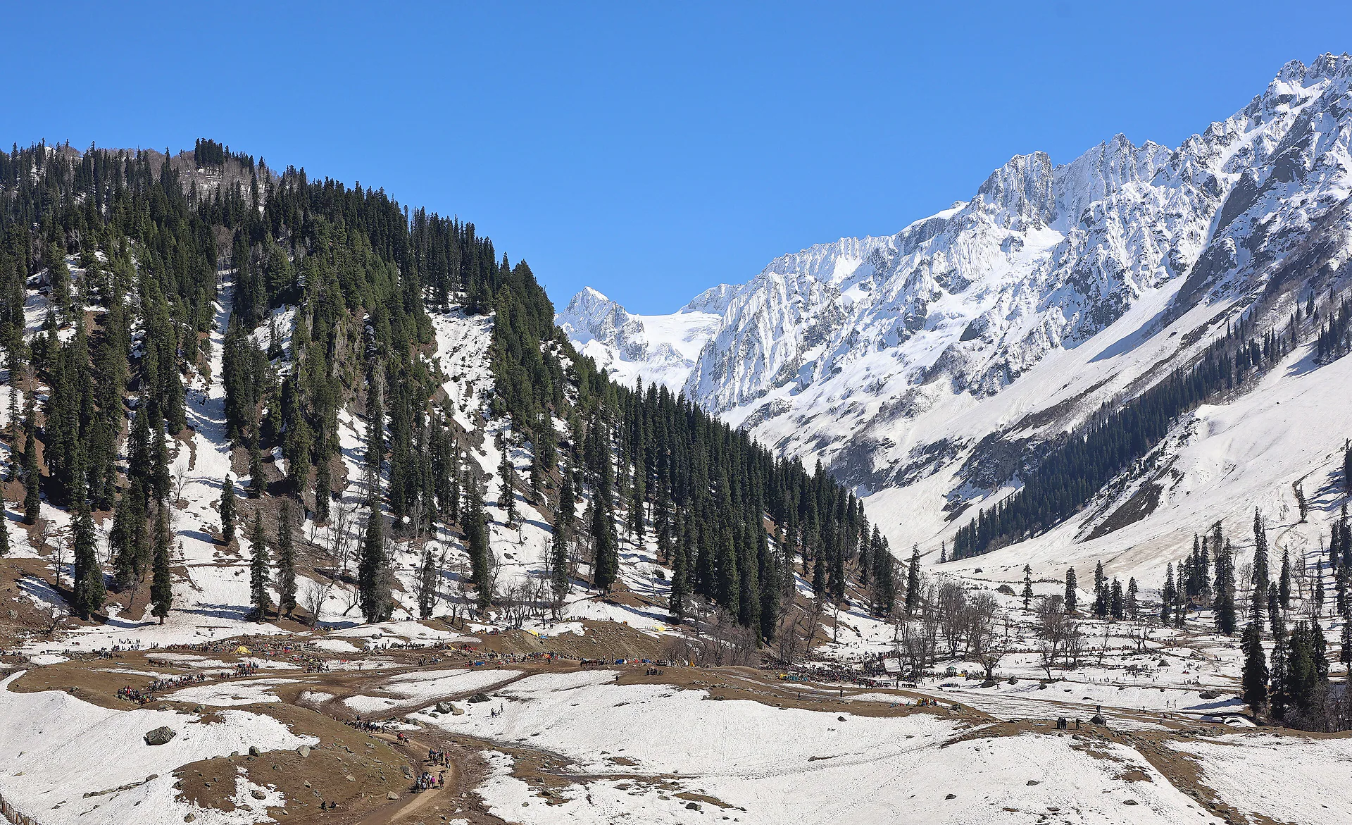 Snow-covered pine slopes and peaks at Sonmarg in winter
